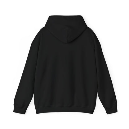 Vyze Logo Hoodie — Minimal Black Pullover with Small Chest Print