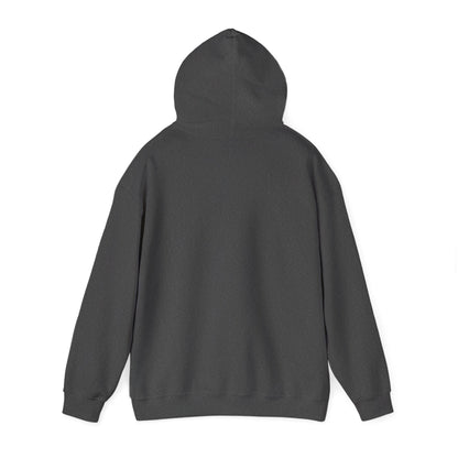 Vyze Logo Hoodie — Minimal Black Pullover with Small Chest Print