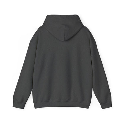 Vyze Logo Hoodie — Minimal Black Pullover with Small Chest Print